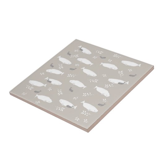 Beluga-walvis op afbeelding van pasteelgrijs tegeltje (Zijkant)