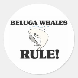BELUGA WALVISSEN Regel! Ronde Sticker