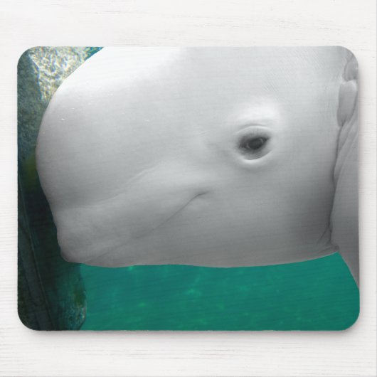 Beluga Watching Mousepad Muismat (Voorkant)