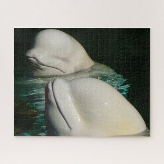 Beluga Whale Alaska Legpuzzel (Horizontaal)