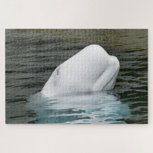 Beluga Whale Alaska Legpuzzel (Horizontaal)