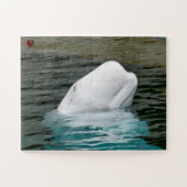 Beluga Whale Alaska Legpuzzel (Horizontaal)