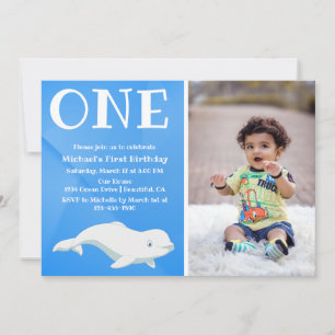 Beluga Whale Arctic Ocean Foto First Dag Kaart