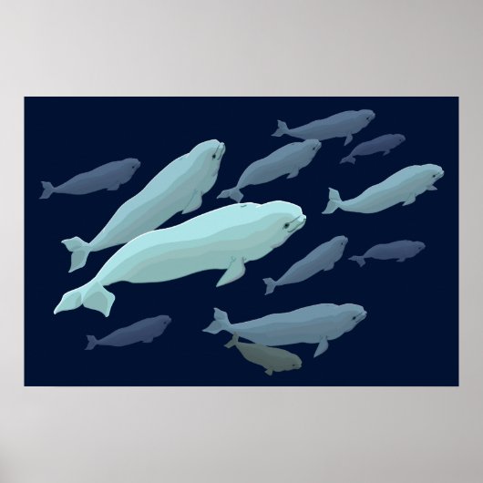 Beluga Whale Art print Marinelife Whale Painting (Voorkant)
