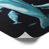 Beluga Whale Art print Marinelife Whale Painting (Hoek)