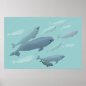 Beluga Whale Art Print Marinelife Whale Poster (Voorkant)