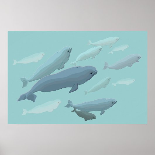 Beluga Whale Art Print Marinelife Whale Poster (Voorkant)