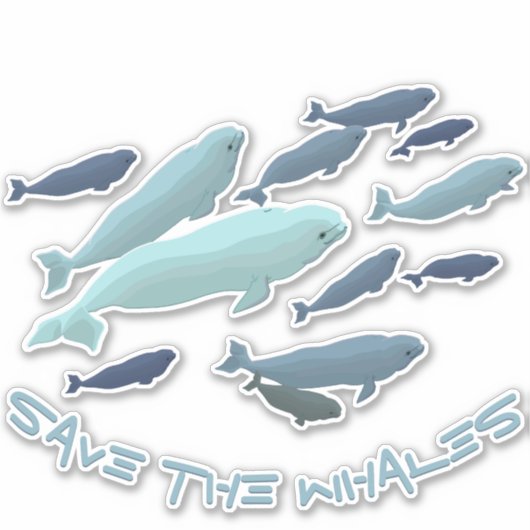 Beluga Whale Art Sticker Personalized Whale Decals (Voorkant)
