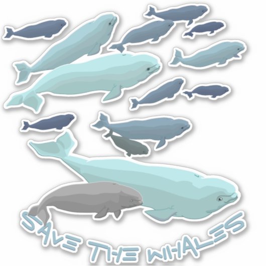 Beluga Whale Art Sticker Personalized Whale Decals (Voorkant)