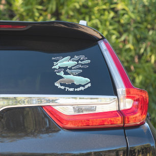 Beluga Whale Art Sticker Personalized Whale Decals