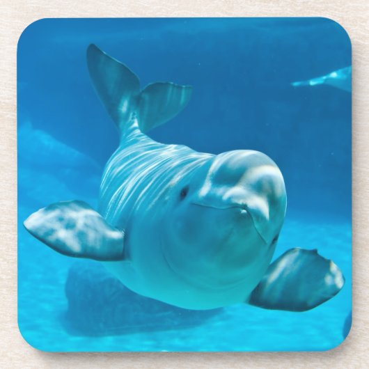 Beluga Whale Bier Onderzetter (Voorkant)