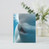 Beluga Whale Briefkaart (Staand voorkant)