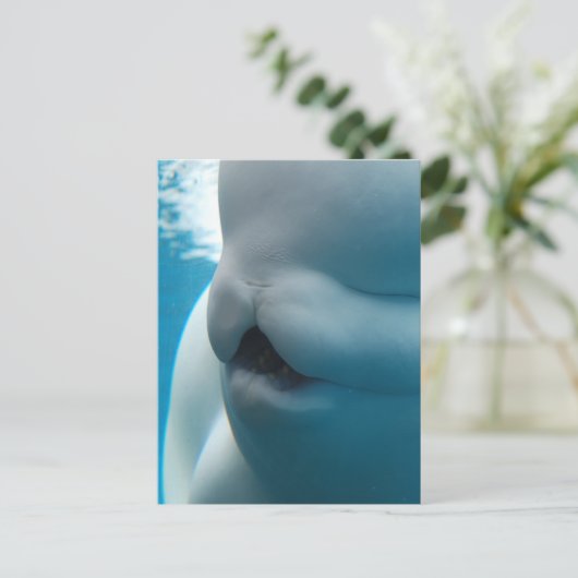 Beluga Whale Briefkaart (Staand voorkant)