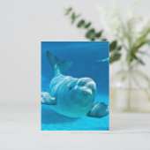 Beluga Whale Briefkaart (Staand voorkant)