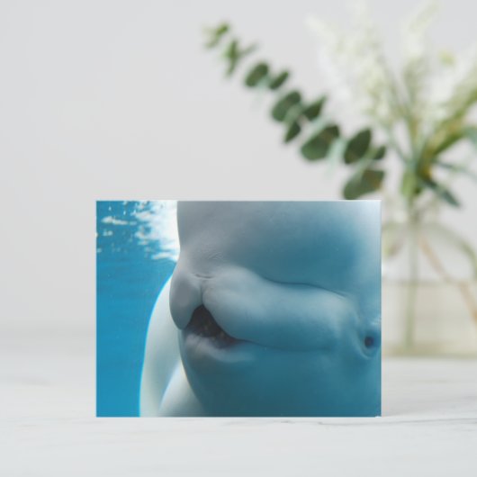 Beluga Whale Briefkaart (Staand voorkant)