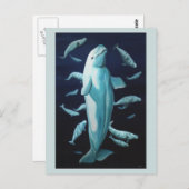 Beluga Whale Briefkaarten Beluga Whale Art Kaarten (Voorkant / Achterkant)