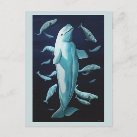 Beluga Whale Briefkaarten Beluga Whale Art Kaarten (Voorkant)