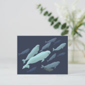 Beluga Whale Briefkaarten Beluga Whale Card past a (Staand voorkant)