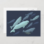 Beluga Whale Briefkaarten Beluga Whale Card past a (Voorkant / Achterkant)
