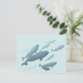 Beluga Whale Briefkaarten Canadian Beluga Whale Ca (Staand voorkant)