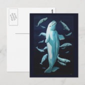Beluga Whale Briefkaarten Canadian Beluga Whale Ca (Voorkant / Achterkant)