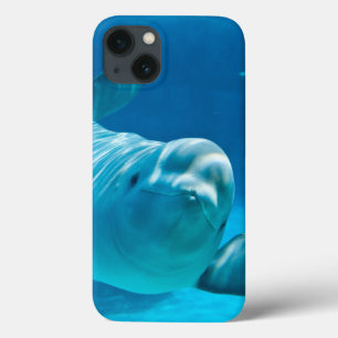 Beluga Whale iPhone 13 Hoesje