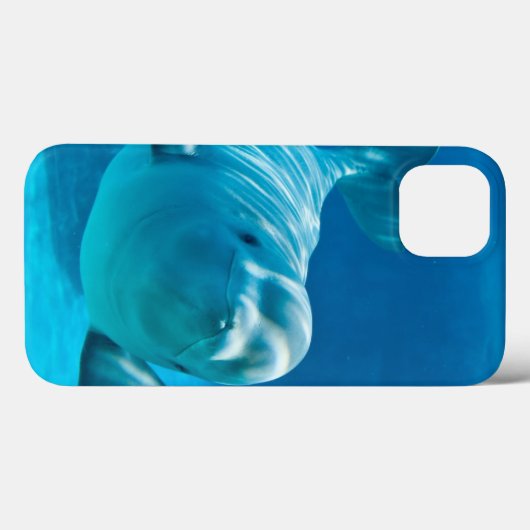 Beluga Whale Case-Mate iPhone Case (Achterkant (horizontaal))