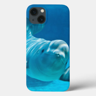 Beluga Whale iPhone 13 Hoesje