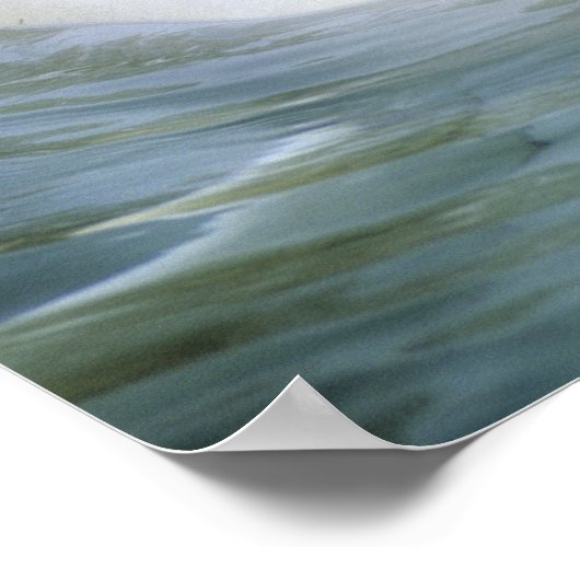 Beluga Whale, Delphinapterus leucas), Captive Poster (Hoek)