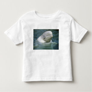 Beluga Whale, Delphinapterus leucas) Kinder Shirts