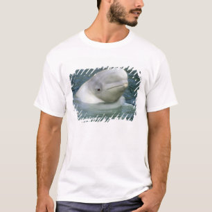 Beluga Whale, Delphinapterus leucas) T-shirt