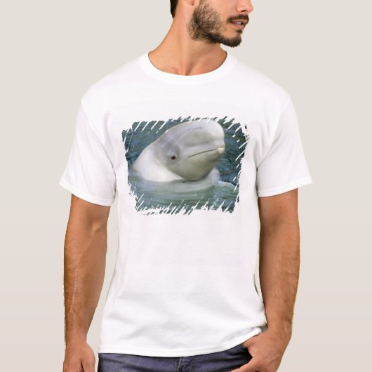 Beluga Whale, Delphinapterus leucas) T-shirt (Voorkant)