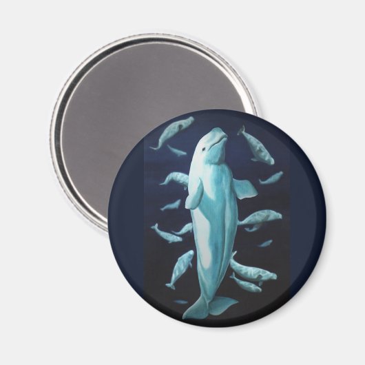 Beluga Whale Fridge Magnet Whale Art Gifts (Voorkant / Achterkant)
