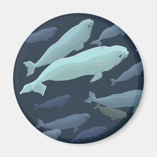 Beluga Whale Fridge Magnet Whale Art Gifts (Voorkant)