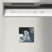 Beluga Whale Gifts Magneet (Insitu (Vaatwasser))
