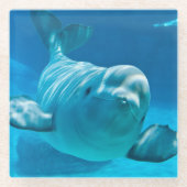 Beluga Whale Glazen Onderzetter (Voorkant)
