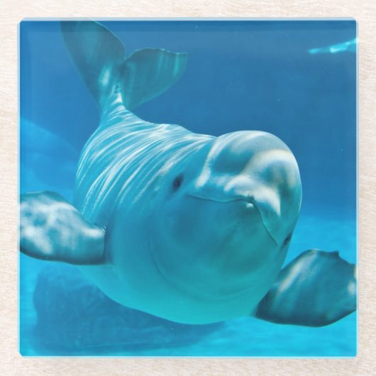 Beluga Whale Glazen Onderzetter (Voorkant)