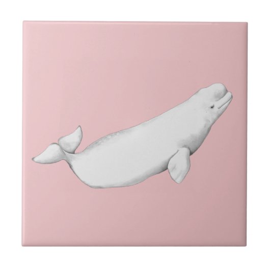 Beluga Whale Illustratie Whale Lover Gift Pink Tegeltje (Voorkant)