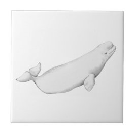Beluga Whale Illustratie Whale Lover Gift White Tegeltje