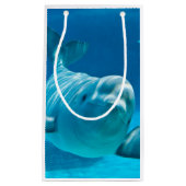 Beluga Whale Klein Cadeauzakje (Voorkant)