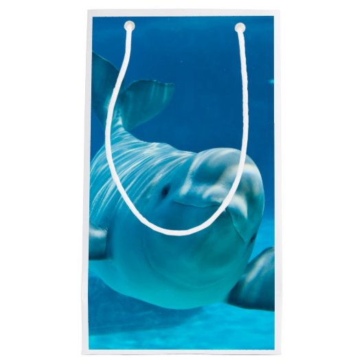 Beluga Whale Klein Cadeauzakje (Voorkant)