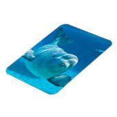 Beluga Whale Magneet (Linkerzijde)