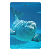 Beluga Whale Mini Klembord (Achterkant)