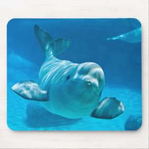 Beluga Whale Muismat