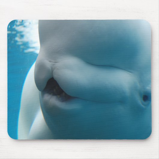 Beluga Whale Muismat (Voorkant)