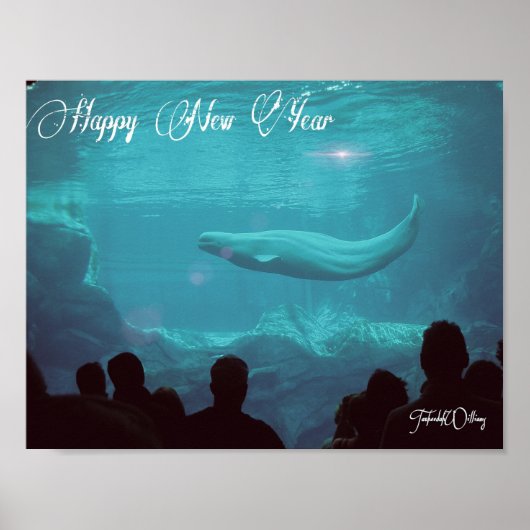 Beluga Whale Nieuwjaar poster (Voorkant)