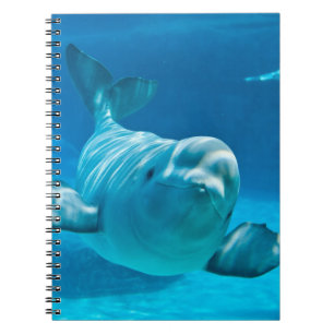 Beluga Whale Notitieboek