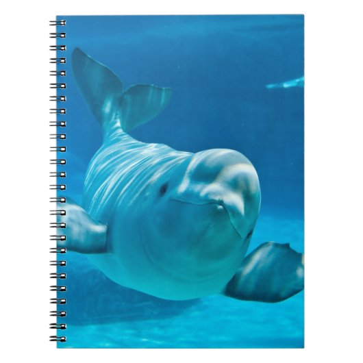 Beluga Whale Notitieboek (Voorkant)