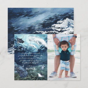 Beluga Whale Ocean   Foto bedankt