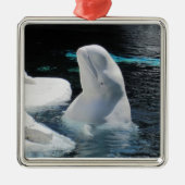 Beluga Whale Ornament (Voorkant)